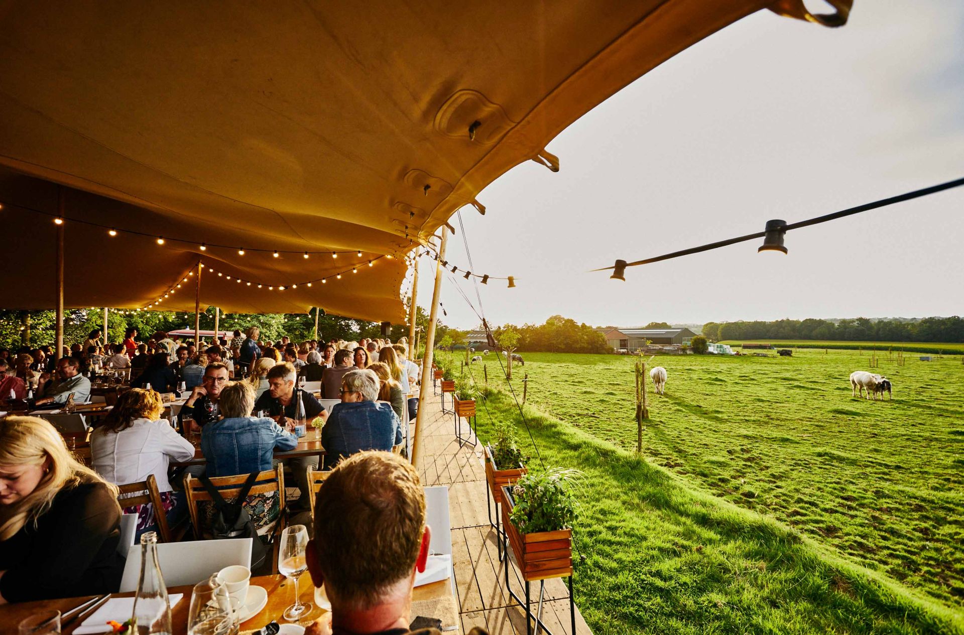 NFF menukaart 2024_1920x1920